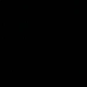 Meet your Posher, Gladys